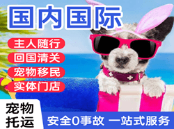 莫高航空运输国际宠物托运 【国